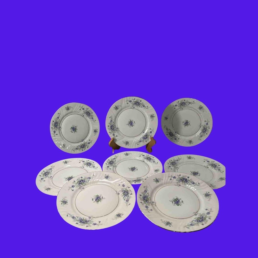 Johann‎ Haviland China Barvarian Germany Salad Plate Violets Set Of 8